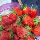 규암농장 이미지