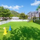 골드미펜션 이미지