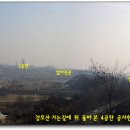 신갈리(갈미) Daum카페