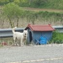 진도주조장 이미지