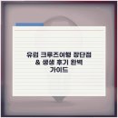 여행의미래 - 김해시 봉황대길 29-1 | 유럽 크루즈여행 장단점 & 생생 후기 완벽 가이드