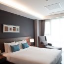 펫플레이스 이미지