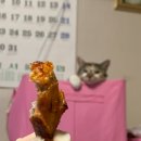 굽네치킨상계 이미지