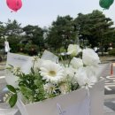 나빌레라플라워