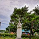 대구가톨릭대학교 이미지