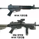 한국군의 기본 무기는 이미지