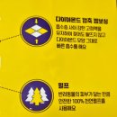 몽발관 | 당뇨견 배변패드 재재재구매중인 포포몽 발도장 제로패드 라지 스몰 by 깨끗한나라 내돈내산 후기