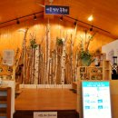 오전약수관광지 이미지