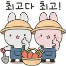 자라호텔 네이버블로그