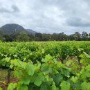 알비노랩 | “호주 여행 필수 정보: 항공·투어·동물원·예산까지 A to Z”