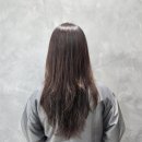 살롱드담