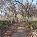 서경프로덕션 이미지