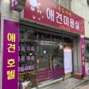 순도리네애견 이미지