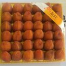 대둔산농장 이미지