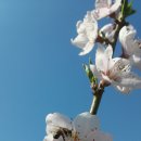 하늘농장 이미지