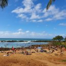 시작한의원 이미지