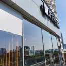 돈포레스트 이미지