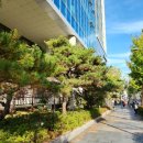 동성동010 이미지