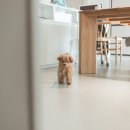 반야시스터 이미지