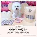 멍멍하누 | 멍멍하누 짜먹는한우 한우 간과 물로 만든 강아지 건강간식