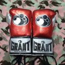 커스텀 복싱짐 이미지