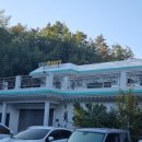 연일로 | 포항 직접 양봉한 꿀로 만든 음료를 판매하는 허니웍스 방문후기