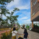 치동초등학교 이미지