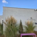 하이멍 애견카페 이미지