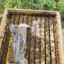 시우리 마을회관 이미지