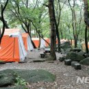 서울대공원 캠핑장 이미지