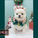 몽끄베르 이미지