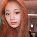 웜인 티스토리