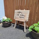 양평 주말에 부모님과 갈만한 다육농원 ㅣ 공삼번지 (무료체험단 진행중 ~5/20)