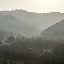 비밀의정원 이미지