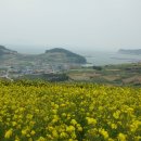 야미도경로당 Daum카페