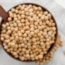 사림동164 이미지