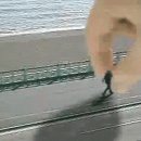 페로젠 이미지