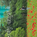 한강시민공원(한강둔치꽃단지) 이미지