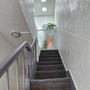 에덴 애견 유치원 호텔 티스토리