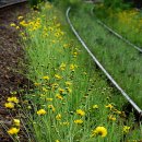 대전둘레산길(6구간) 이미지