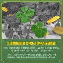 마트클로버