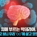 토마토여행사주 이미지