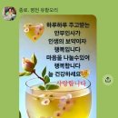 우리 사람!♥♥ 이미지