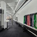 크로스핏 앤츠 이미지