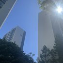 (주)사이버빌리지
