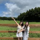 성현목장 | 제주도 다녀왔어요 주간일기