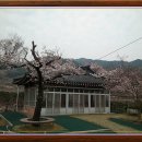 오미리 마을회관 이미지