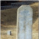 박강 묘역 및 석물 이미지