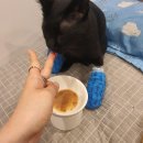 24시노아동물메디컬센터 이미지