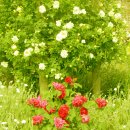 반가운공간 이미지